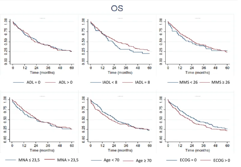 Figure 4. Impact of ADL score, IADL score, MMS score, MNA score, age and ECOG at  baseline on overall survival (OS)