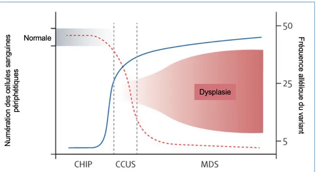 Figure 3 : CHIP, CCUS et SMD constituent un continuum (6) 