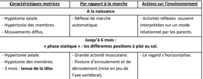 Figure 5 : Les étapes d’acquisitions motrices préalables à la marche (O. Frecon, 2013)