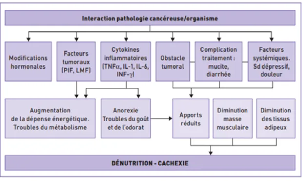 Figure 2 : Facteurs responsables de dénutrition en cancérologie extraite du PNNS 2010 