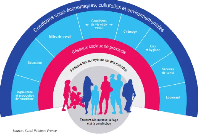 Figure 2 : Déterminants de la santé selon Dahlgren et Whitehead 