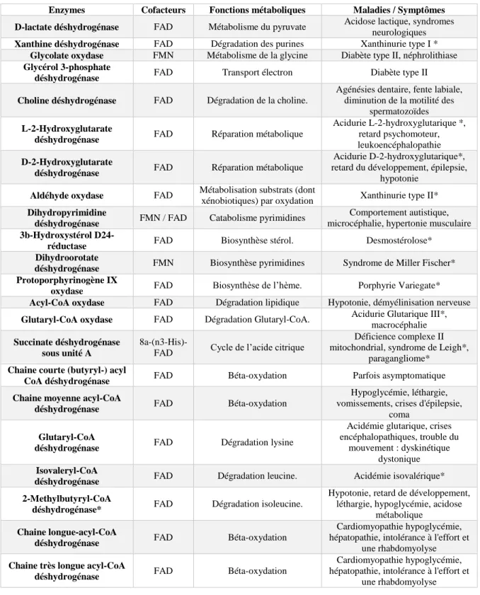 Tableau 1 : Protéines  et en z ymes constituant le flavopro téome  (31,35)  