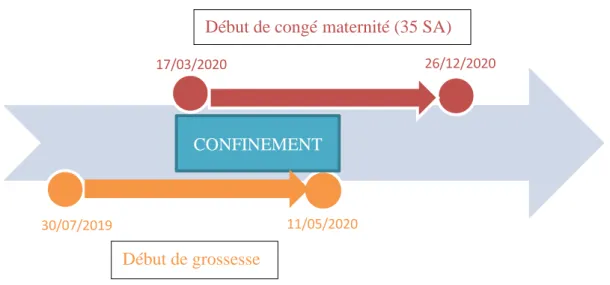 Figure 1 : Dates et chronologies des début de grossesse et des congés maternités 