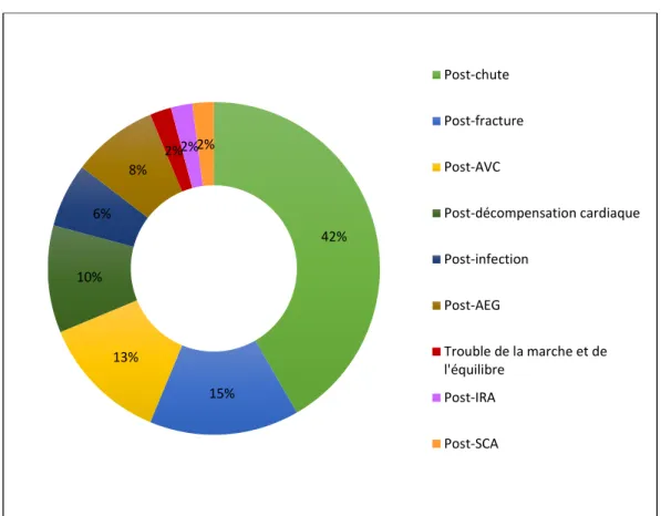 Figure 4 : Représentation des motifs d’hospitalisation 