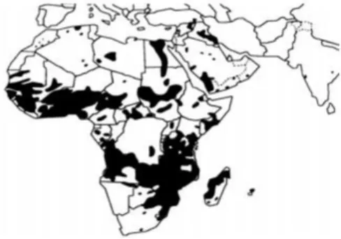 Figure 7 : Répartition géographique de la bilharziose uro-génitale (3) 