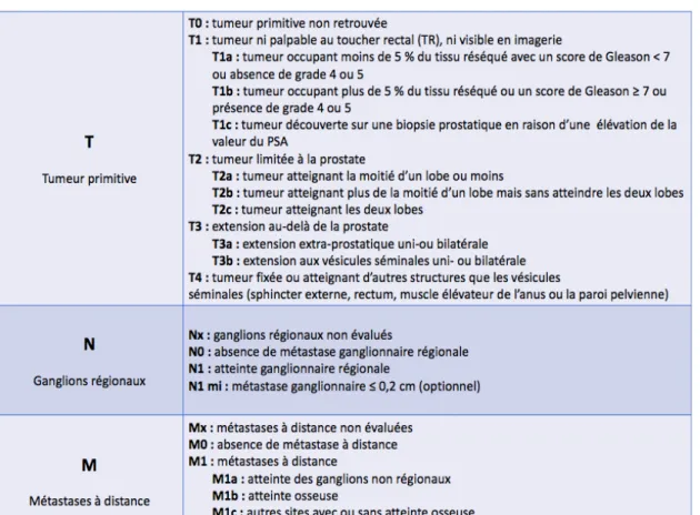 Figure 12 : Classification TNM du cancer de prostate (22) 