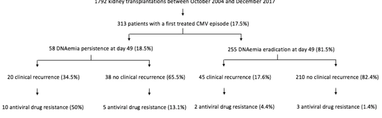 Figure  1: Flowchart of the study. Description of the time course and the different issues of  CMV  episodes  requiring  antiviral  therapy,  leading  to  the  development  of  an  antiviral  drug  resistant CMV infection