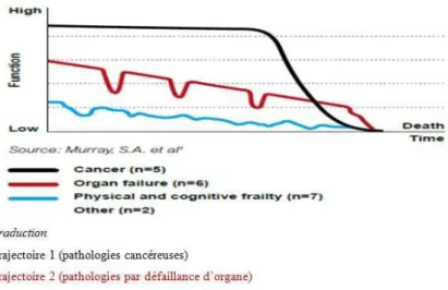 Fig 1. Modélisation des trajectoires de vie des patients en situation palliative.  