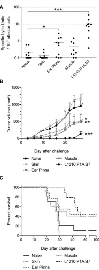 Fig. 5. Inﬂuence of the delivery site on the immune response against the tumor antigen P1A