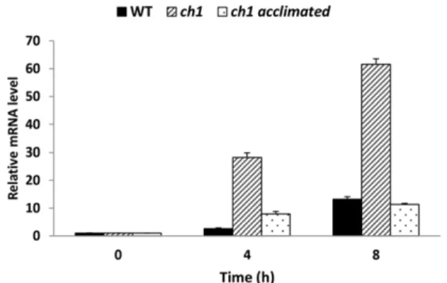 Figure 1. Transcript profile of theOXI1 gene analyzed by qRT-PCR in wild- wild-type Arabidopsis (WT) and in the ch1 mutant (control or photoacclimated) exposed for 4 or 8 h to high-light stress (1500 mmol m 2 2 s 2 1 at 7˚C/14˚C, day/night)