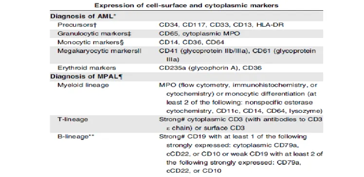 Tableau 2  :  Expression des marqueurs de surface cellulaire et des marqueurs cytoplasmiques pour    le diagnostic de LAM et MPAL ; Extrait de Estey et al
