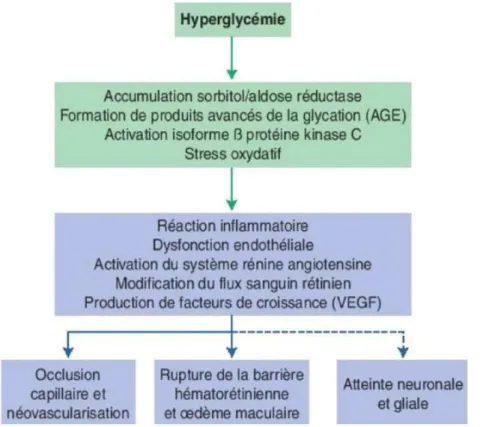 Figure 15 Installation non perceptible de la rétinopathie 