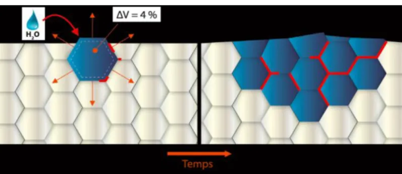 Figure 9 : Schéma illustrant le transformation à basse température et en milieu hydrique des cristaux  métastables d’oxyde de zirconium (à gauche) et ses conséquences (à droite) 