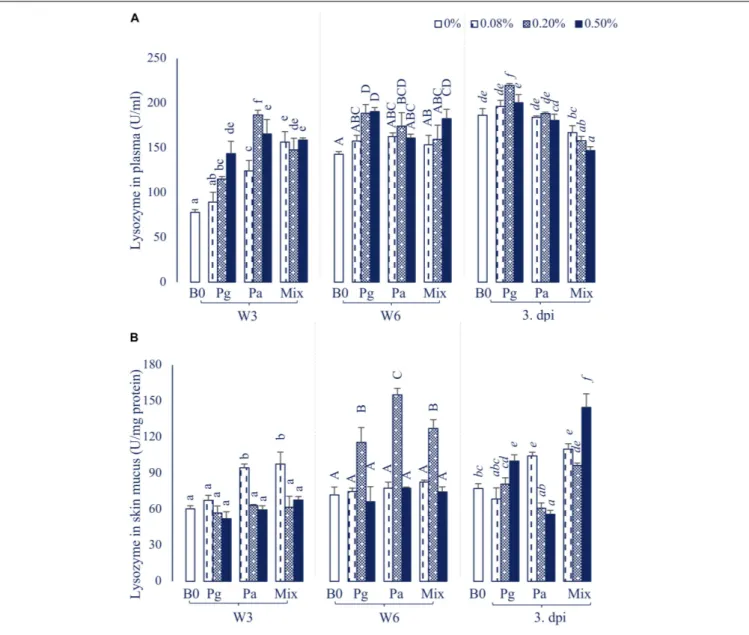 FIGURE 2 | Lysozyme activity in (A) plasma and (B) skin mucus of striped catfish fed extract-based diets supplemented with a single supply or a mixture of P.