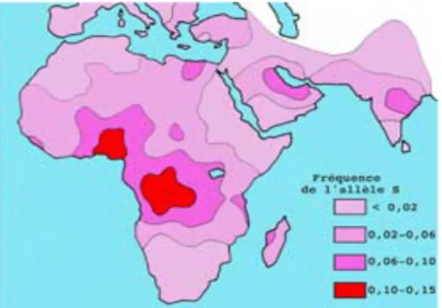 Figure 6- Répartition des zones impaludées   Figure 7- Répartition de la Drépanocytose 