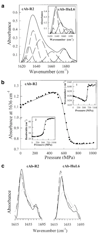 Fig. 8. (a) Fourier-deconvoluted and fitted infrared spectra in the amide I ⬘ region (solid lines) with individual Gaussian components (broken lines) of cAb-R2 and cAb-HuL6 (inset)