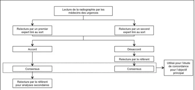 Figure 2. Réalisation du consensus d'expert ; étude de la fiabilité de l’interprétation des  radiographies simples du poignet, Bordeaux, 2014