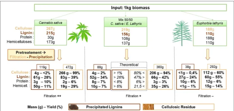 FIGURE 1 | Mass balance of cellulose, lignin, protein and hemicellulose from Cannabis sativa, Euphorbia lathyris, and a 50/50 mix feedstock after NaOH pretreatment followed by filtration and precipitation.
