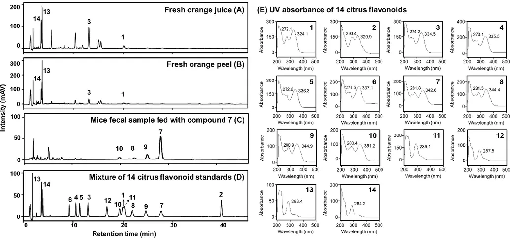 Fig. 3 HPLC profiles (UV detector, 280 nm) of fresh orange juice sample (A), fresh orange peel sample (B), mice fecal sample fed with compound 