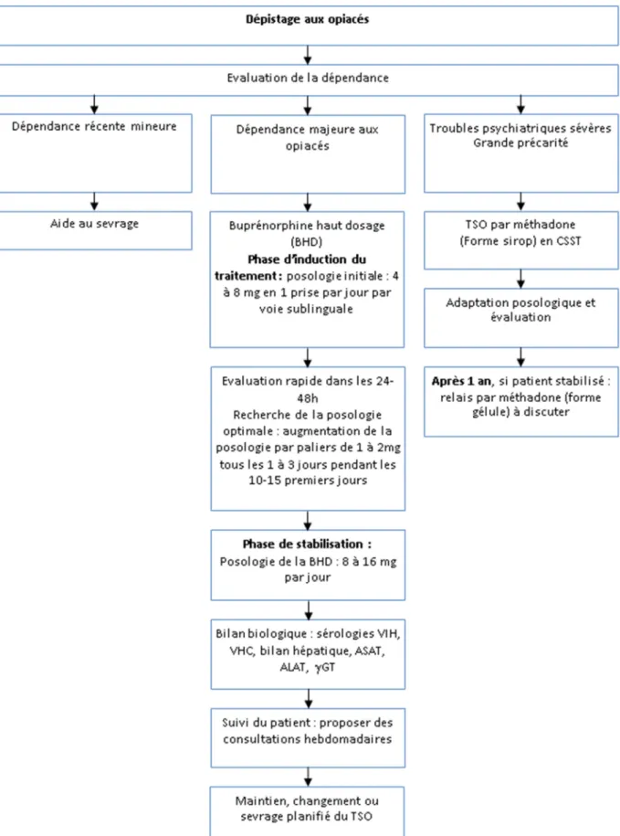 Figure 6: Stratégie thérapeutique de l’héroïne (Vidalrecos, 2012, 4ème édition) 