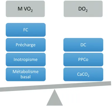 Figure 1 : Balance énergétique du myocarde 