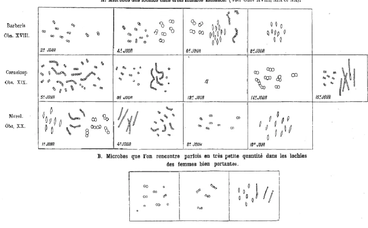 Figure 7 : Observations microscopiques de Jacques Amédée Doléris (66) 