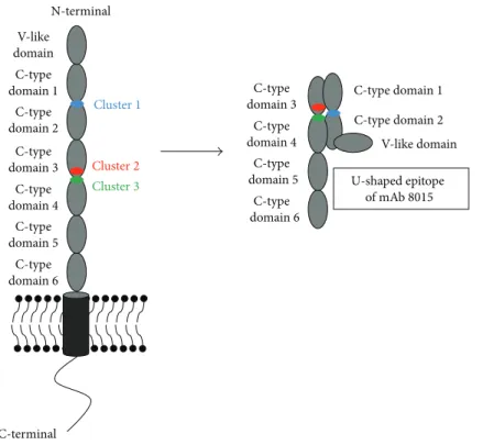 Figure from Chevign´e et al. [11].