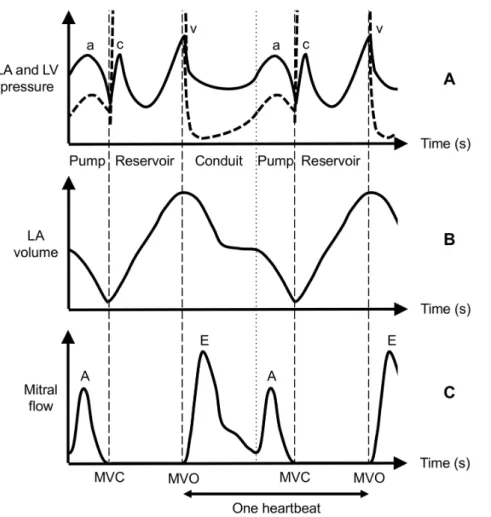 Figure 2. Sketch of a typical left atrial pressure-volume loop.