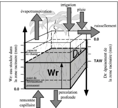 Figure 4. Zone racinaire comme un réservoir montrant les flux à ses frontières affectant (Raes  et al., 2012)