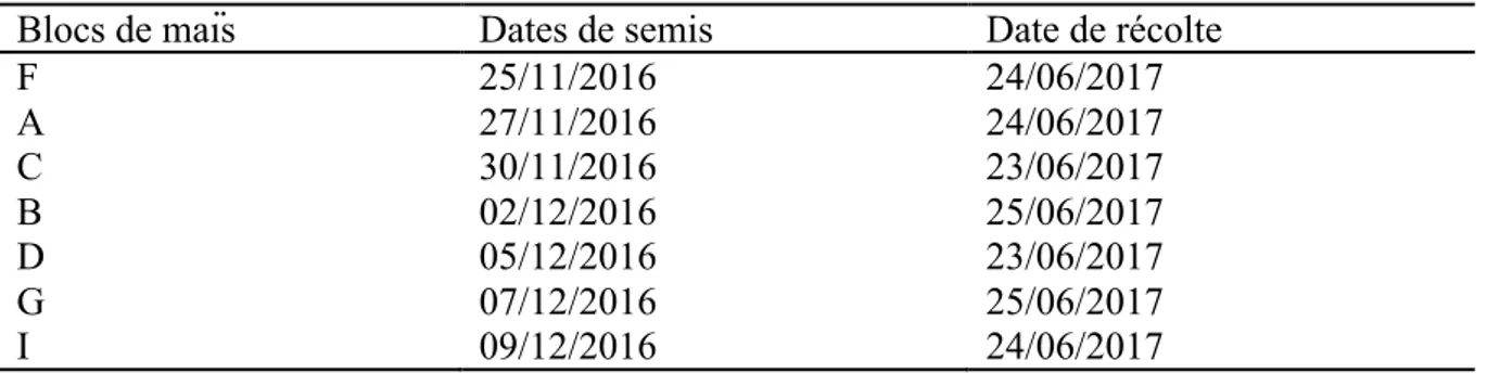 Tableau 2. Dates des semis et récoltes dans les blocs de maïs à la ferme Ubuntu, campagne  culture 2016-2017