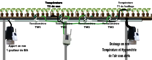 Figure 6 : vue de l'outil récupérateur de données installé sur la parcelle 3 avec les deux sondes  capacitives dans des seaux