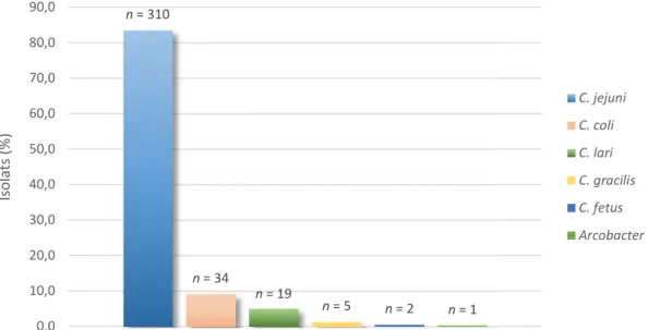 Figure 4 : Répartition des espèces de Campylobacter isolées au CHU Sud Réunion de 2006 à 2015  Sur  cette  période  (2006  à  2015),  on  observe  une  importante  augmentation  de  l’identification  au  laboratoire de souches de Campylobacter et notamment