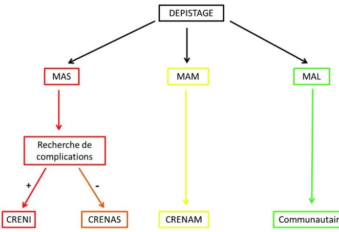 Figure 4 : Organigramme simplifié d'orientation des cas de MA. MAS : Malnutrition Aiguë Sévère, MAM :  Malnutrition Aiguë Modérée, MAL : Malnutrition Aiguë Légère, CRENI : Centre de Récupération et d’Education Nutritionnelle 