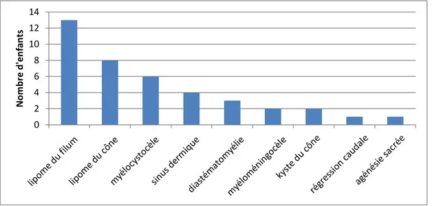 Figure 2 : Répartition selon la forme anatomo-clinique 