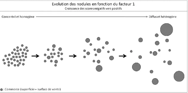 Figure 3. Evolution des nodules sur le premier facteur