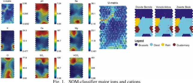 Fig. 1.  SOM-classifier major ions and cations 