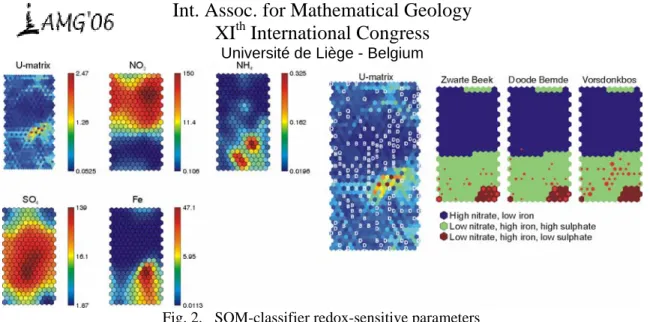 Fig. 2.  SOM-classifier redox-sensitive parameters 