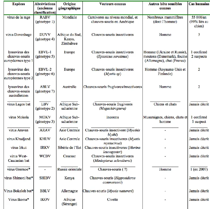 Tableau 1 : Classification des Lyssavirus (source : recommandations de vaccination contre  la rage, HCSP 2013) 