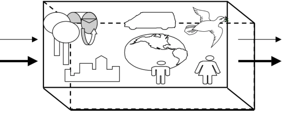 Figure 1. A territorial concern (TC) with flows, processes, and living and non-living  inhabitants