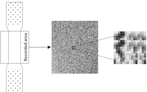 Figure 2.3. Definition of the strain reference length as a function of the pixel size [48] 