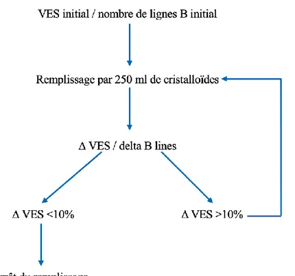 Figure 3.  Protocole de l’étude (VES=Volume d’Éjection Systolique, VES= variation du VES après 250ml de  remplissage, delta B lines=nombre de nouvelles lignes B apparues)