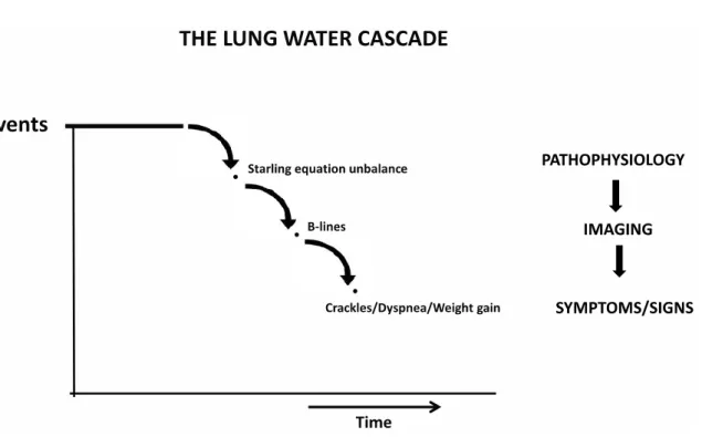 Figure  8.  Concept  de  cascade  d’eau  pulmonaire.  Image  issue  de  l’article:  The  lung  water  cascade  in  heart failure ; auteurs: Picano E, Scali MC ; revue: Echocardiography