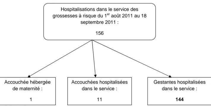 Figure 1 : Population des femmes hospitalisées dans le service des grossesses à risque du  1 er  août 2011 au 18 septembre 2011