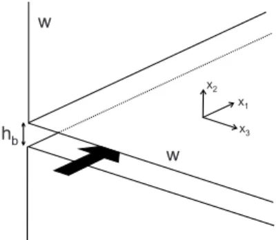 Figure 4: Definition of the geometry of the cleat with a flow along x 1 Modified from (Reiss, 1980).