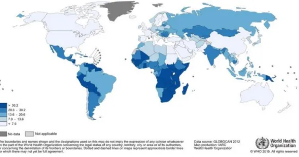 Figure 2 - incidence mondiale en 2012 (source : http://globocan.iarc.fr) 