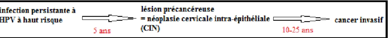 Figure 7 - Histoire naturelle du cancer du col utérin 