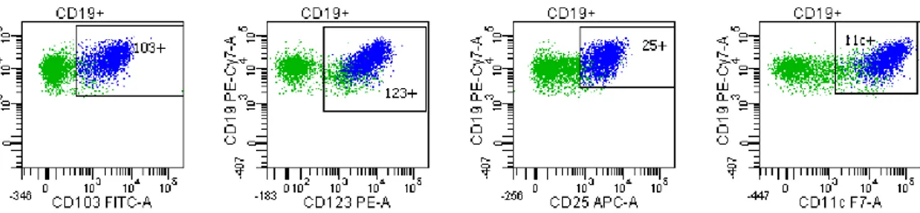 Figure 2 Coexpression des marqueurs CD103, CD123, CD25 et CD11c sur les tricholeucocytes  Tricholeucocytes (population bleue) d’un patient du CHU de Caen