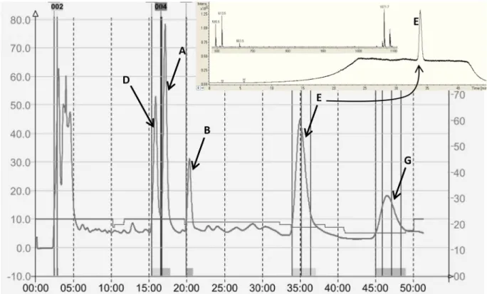 Figure 3.  Total ion chromatogram (TIC) of arabidopside E detected with ion trap parameters optimized for  oxidized acyl-MGDG detection (in black) and oxidized MGDG detection (in grey).