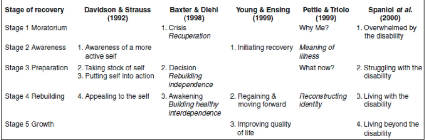 Figure 3 : Stades de rétablissement et comparaison à la littérature 