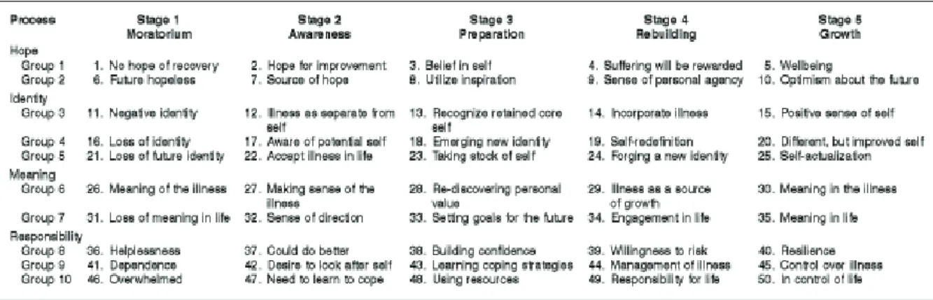 Figure 4 : Les 50 items de la STORI par points clés et stades de rétablissement 